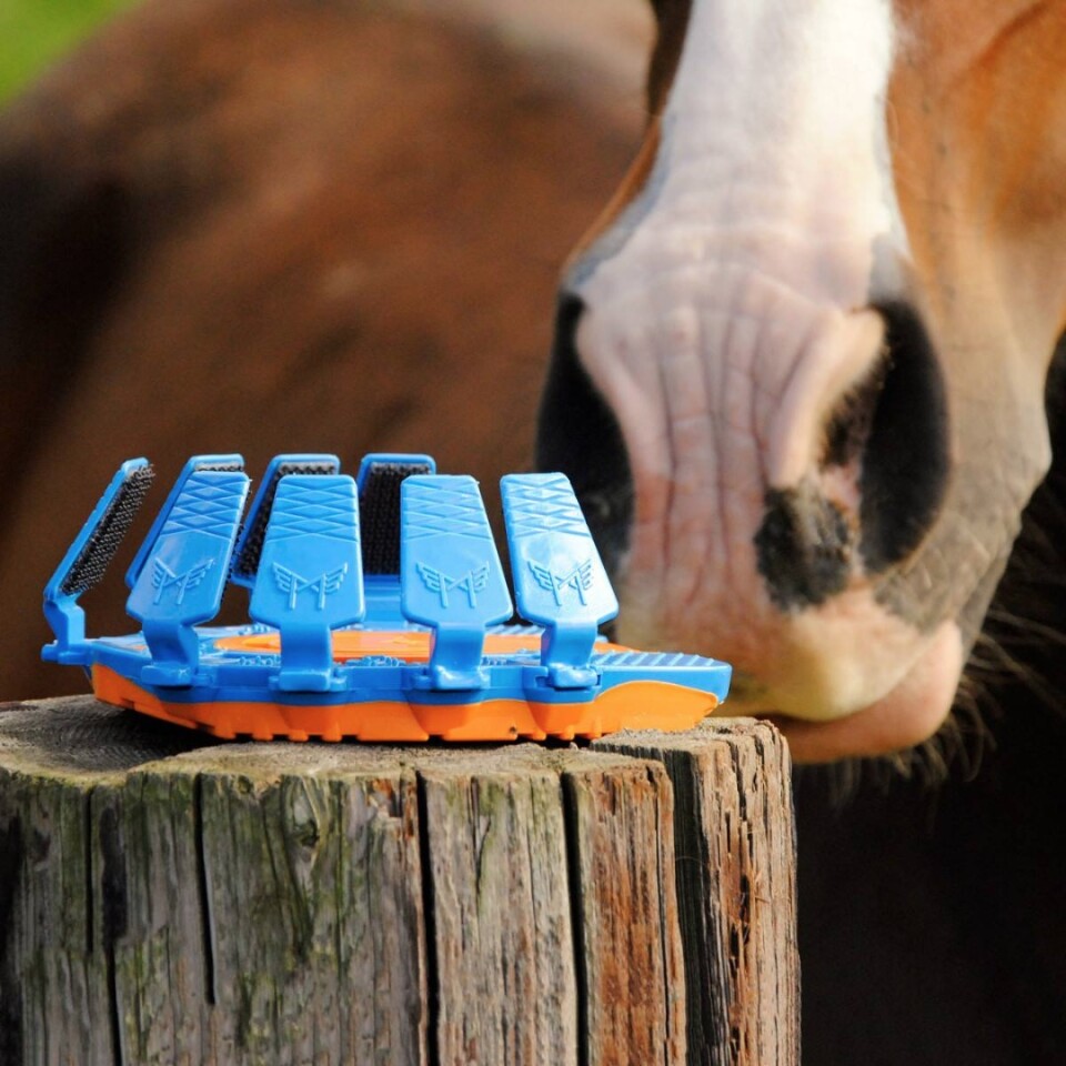 Clipon shoes let horses clipclop in comfort