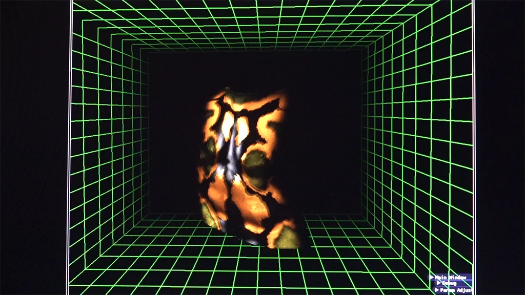 The motion-tracking software creating the projected image in real-time to respond to a person's movements