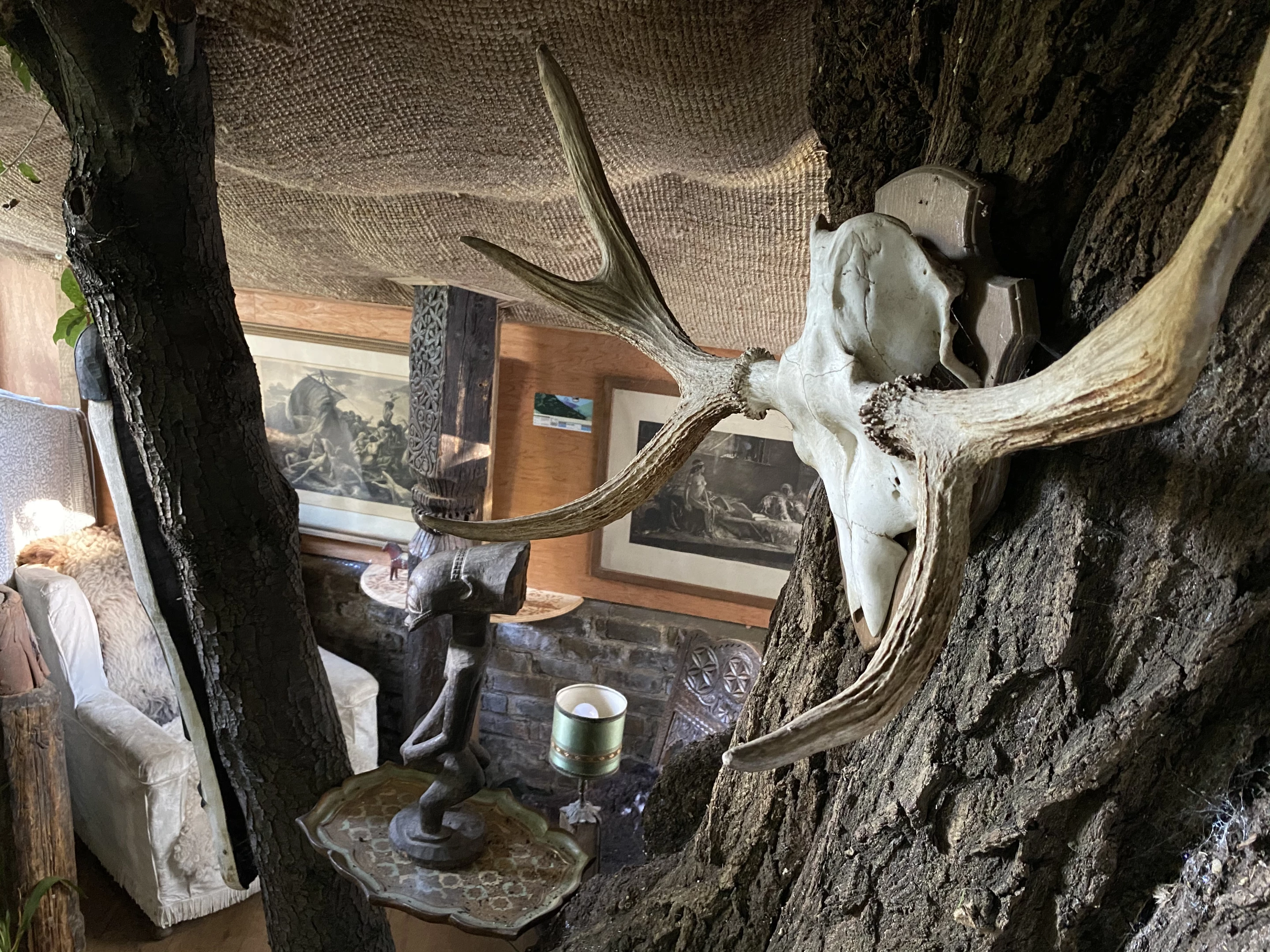 "When lockdown arrived, the shed really took on a life of its own, bringing us closer together as a family," explains Holloway