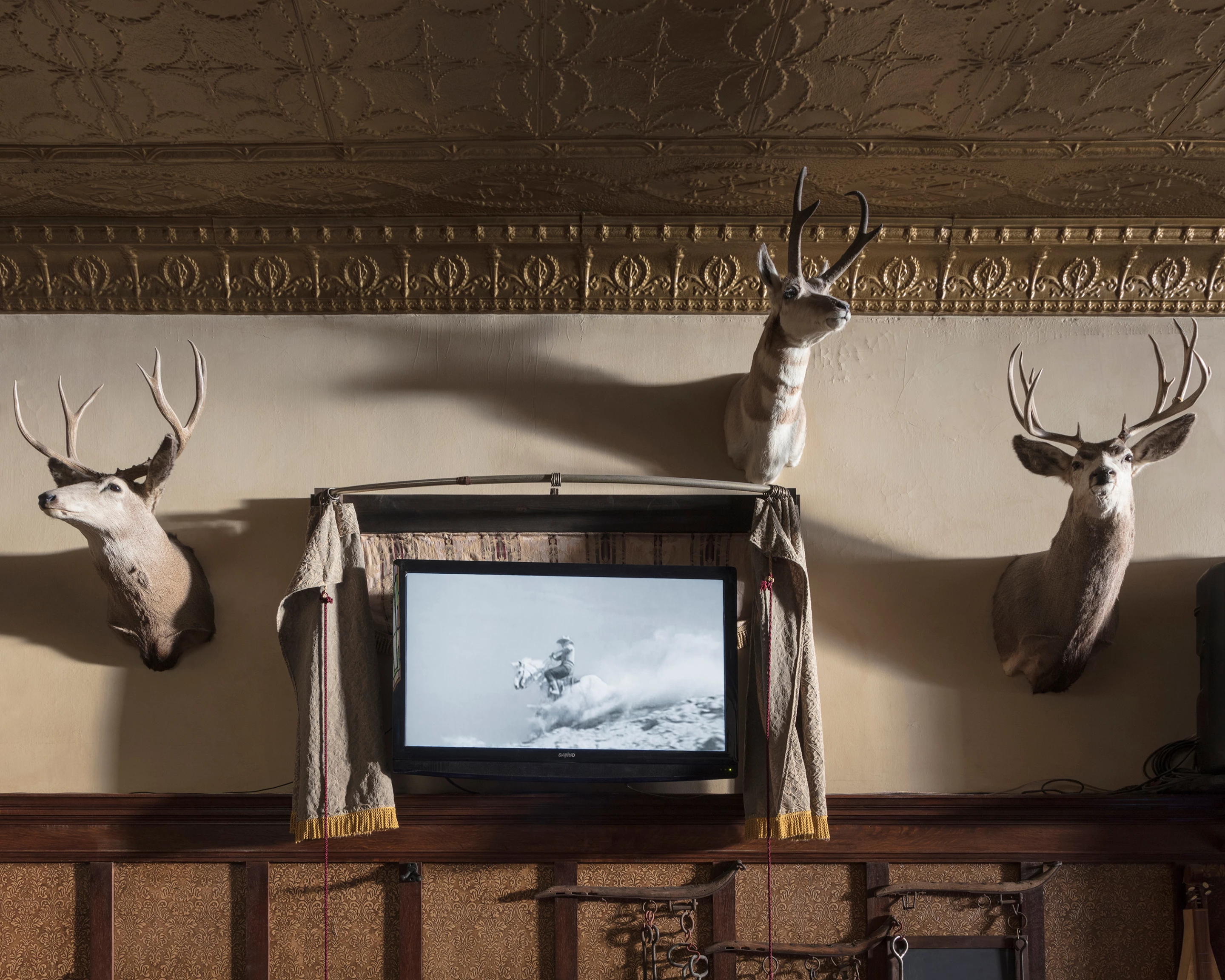 Honorable Mention - Untitled - Man on a White Horse, Buffalo, WY