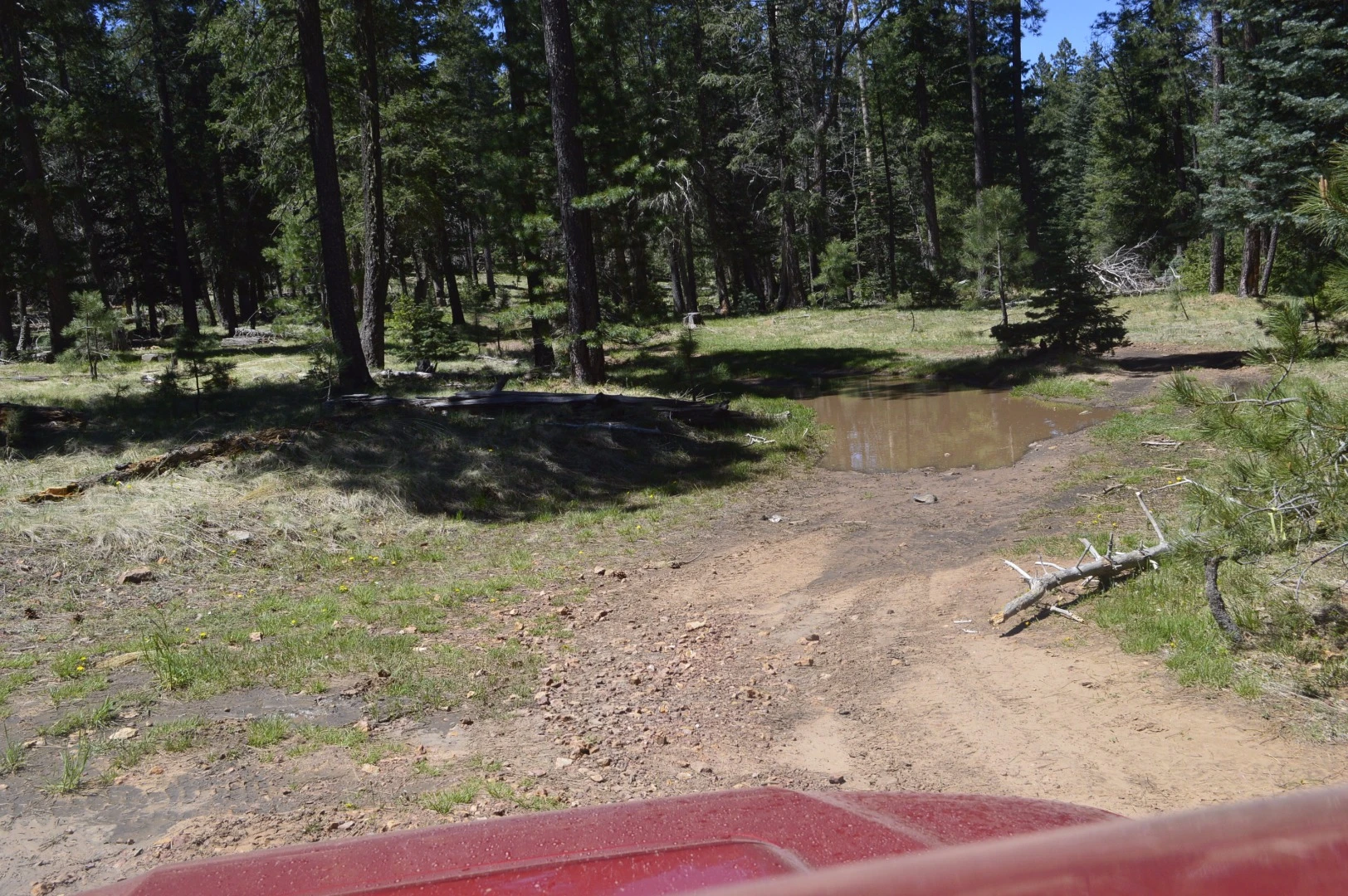 The main obstacles on our Night 1/Morning 1 route were puddles of various depths. None of them gave the 4Runner any problems.