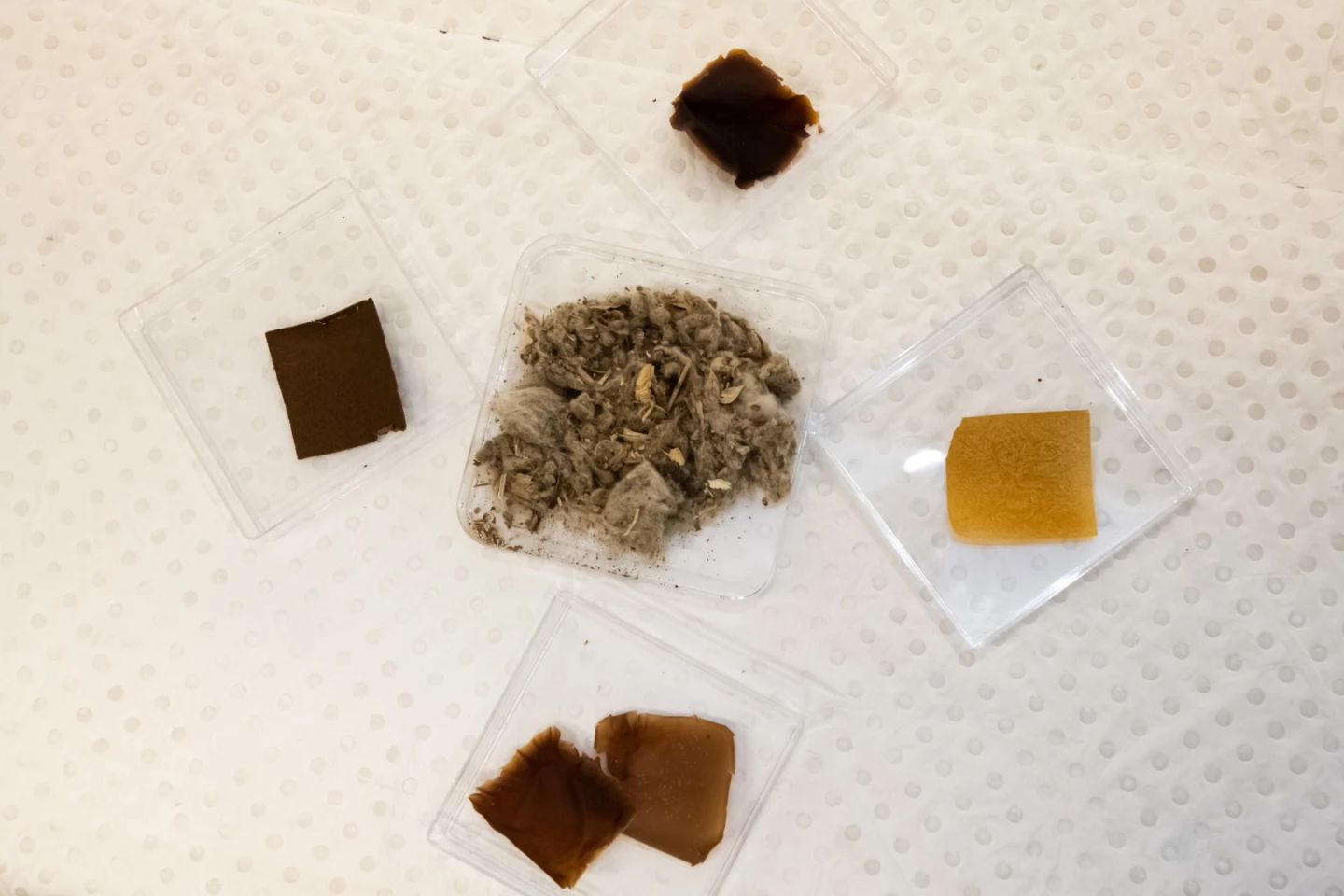 Cotton gin trash, surrounded by samples of the bioplastic