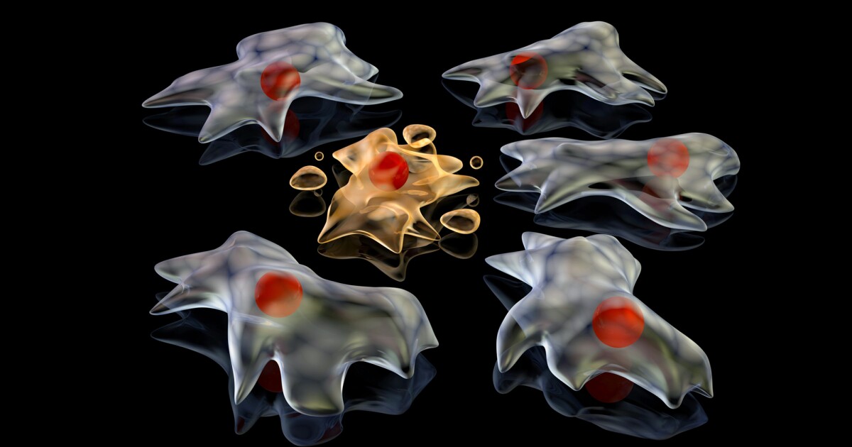 “Footprint of Death” guides immune cells, hijacked by viruses “Footprint of Death” guides immune cells, hijacked by viruses