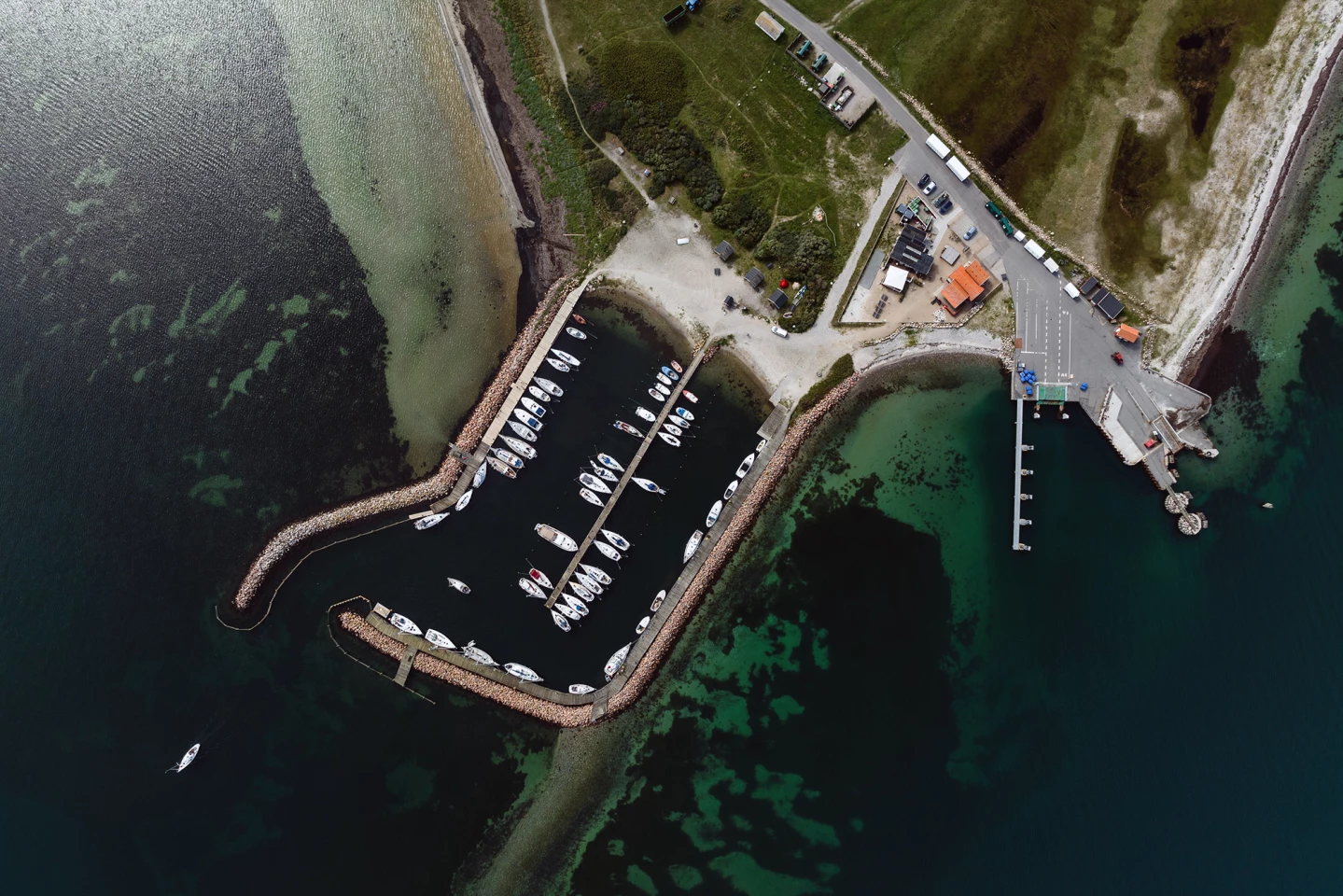 The field site at Avernakø, Denmark