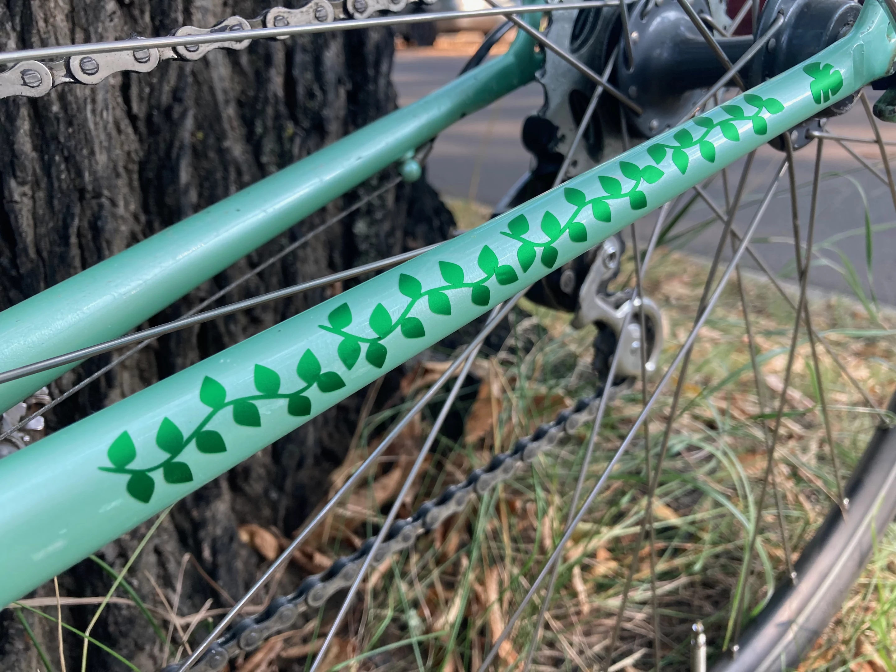 These ivy decals that I ordered from Etsy really help hide the paint chips on this chain stay