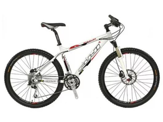 A bike retrofitted with the Gruber Assist - you wouldn't know it was there would you?