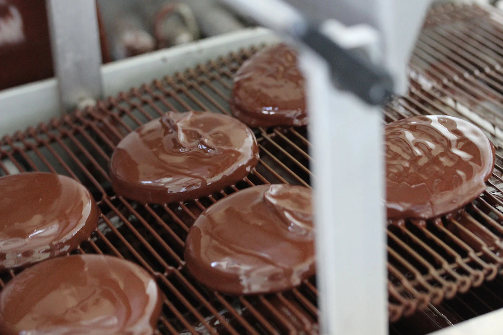 Chocolate-coated biscuits moving through a cooling channel (Photo: Fraunhofer IVV)