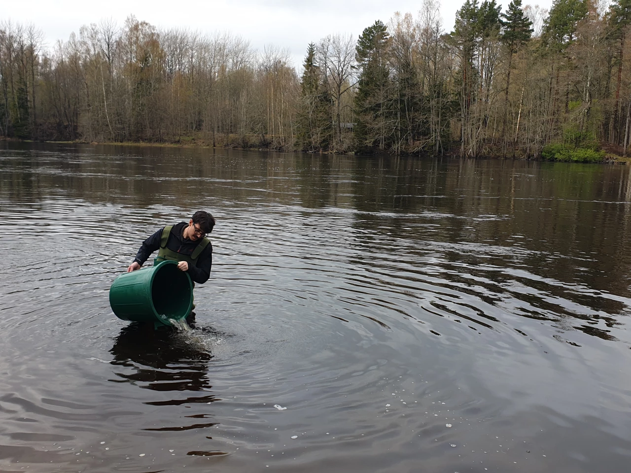 Marcus Michelangeli conducting the field study in Sweden’s River Dal
