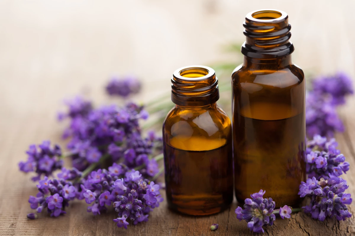 The beta-carophyllene found in plants such as lavender produces an anti-inflammatory response in the body