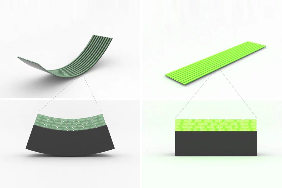 Thanks to the cells, the biofabric bends in response to moisture, which opens the flaps and cools the wearer as they sweat