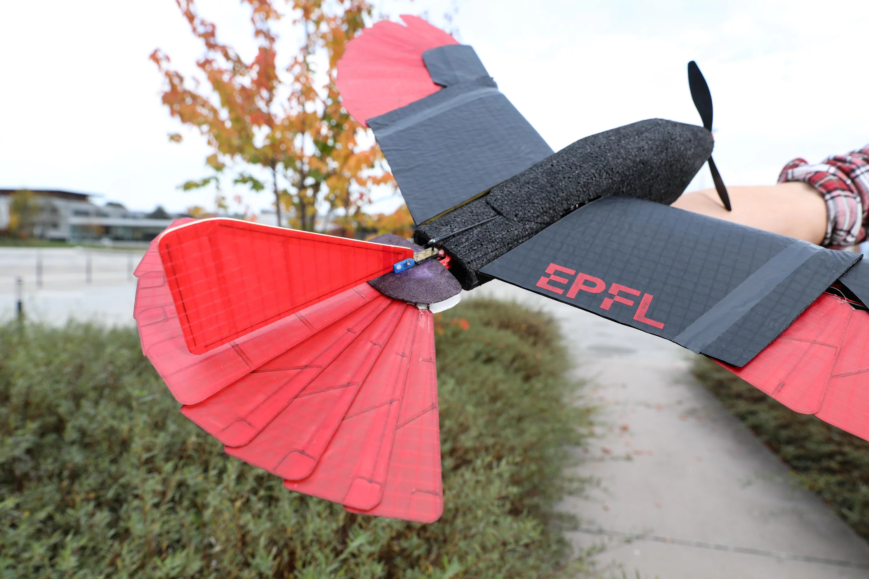 A new raptor-inspired drone uses morphing wings and tail for greater in-flight agility