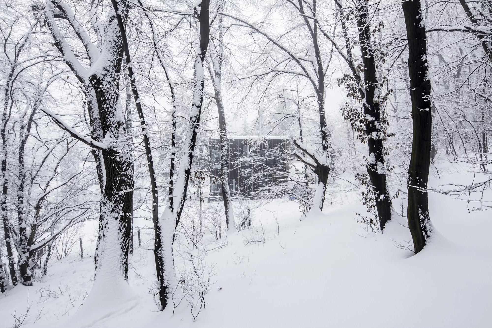 Black Magic House is heated by a wood stove and fireplace, with fuel provided by the nearby woods (Photo: Zsolt Batár)