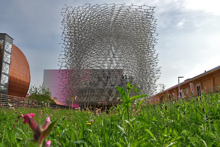 The stand out UK Pavilion is designed by British artist Wolfgang Buttress