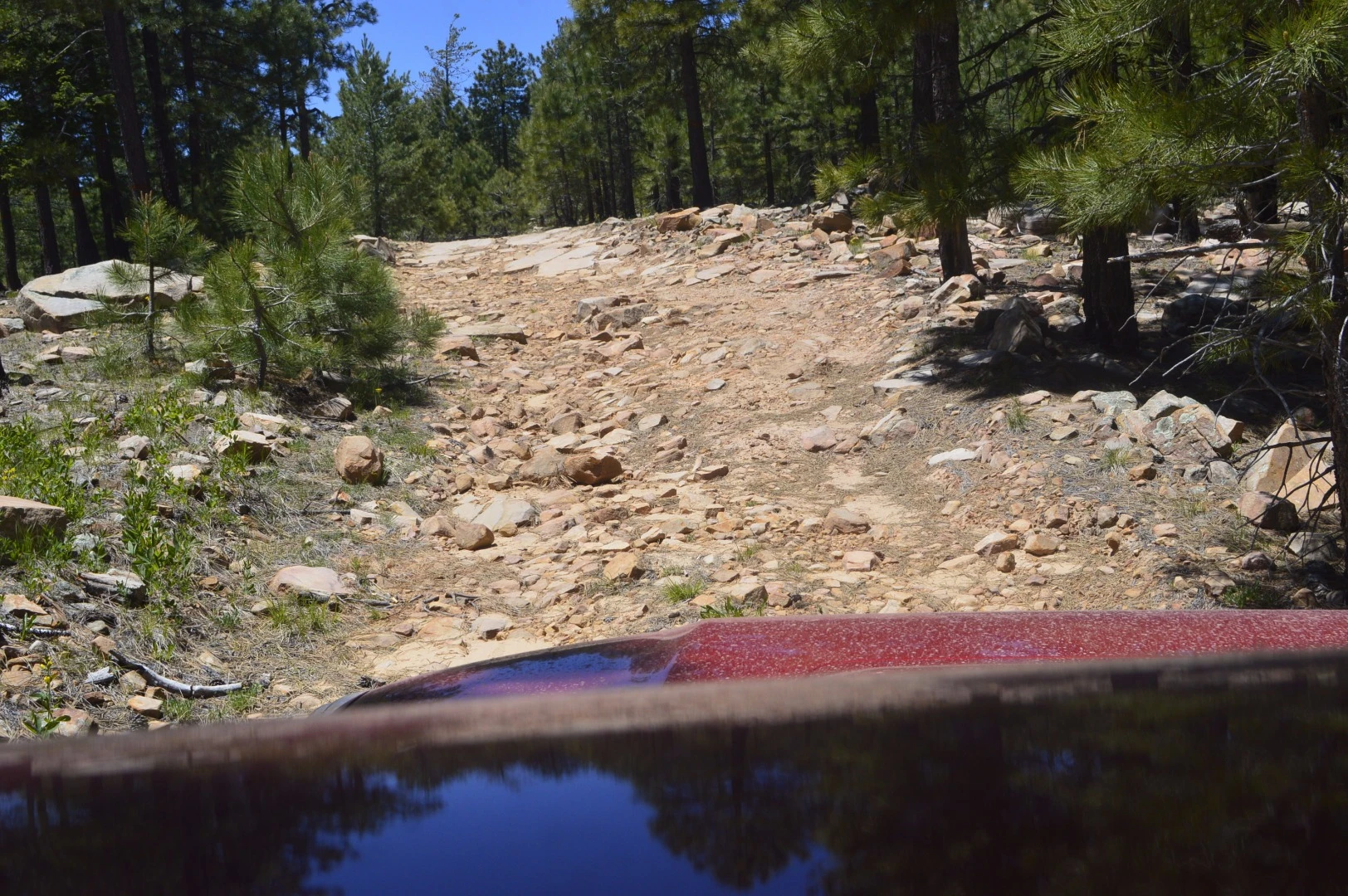 A rockier section of trail
