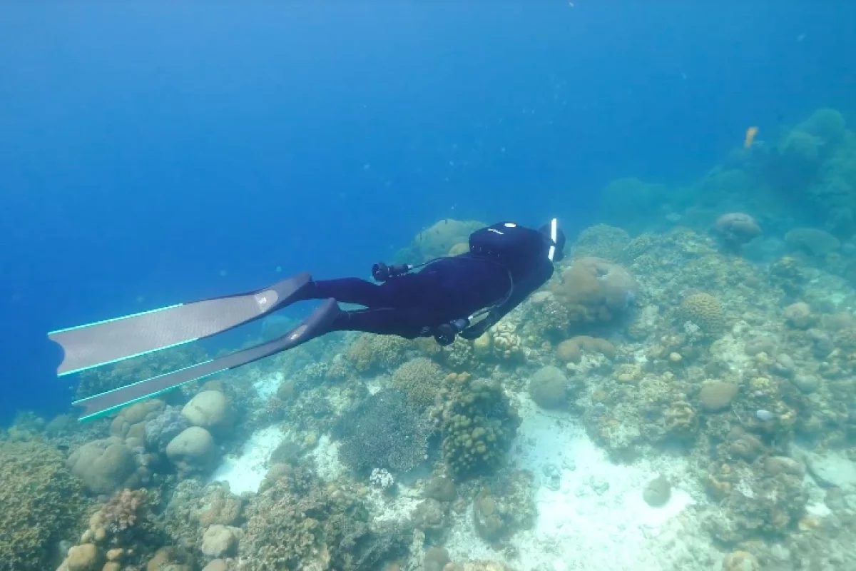 The SubCruiser has a claimed top speed of 4 knots (5 mph or 7 km/h)