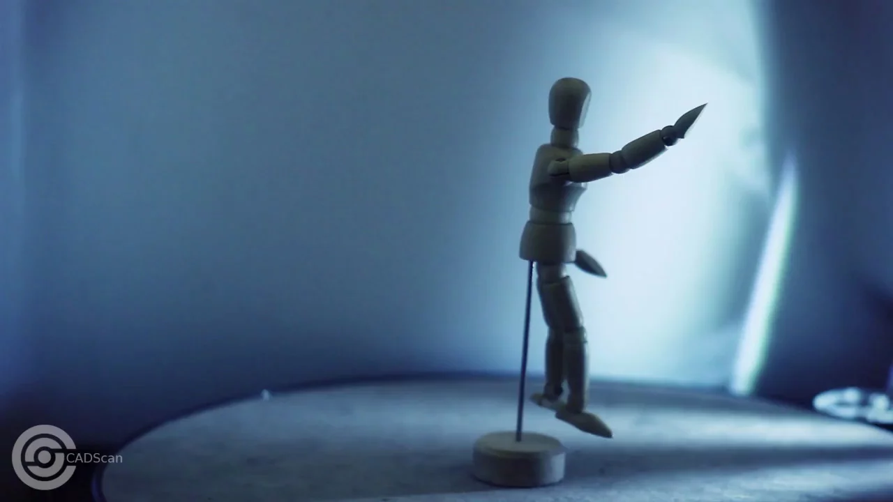 Any object that can fit within 250 mm x 250 mm x 250 mm can be scanned