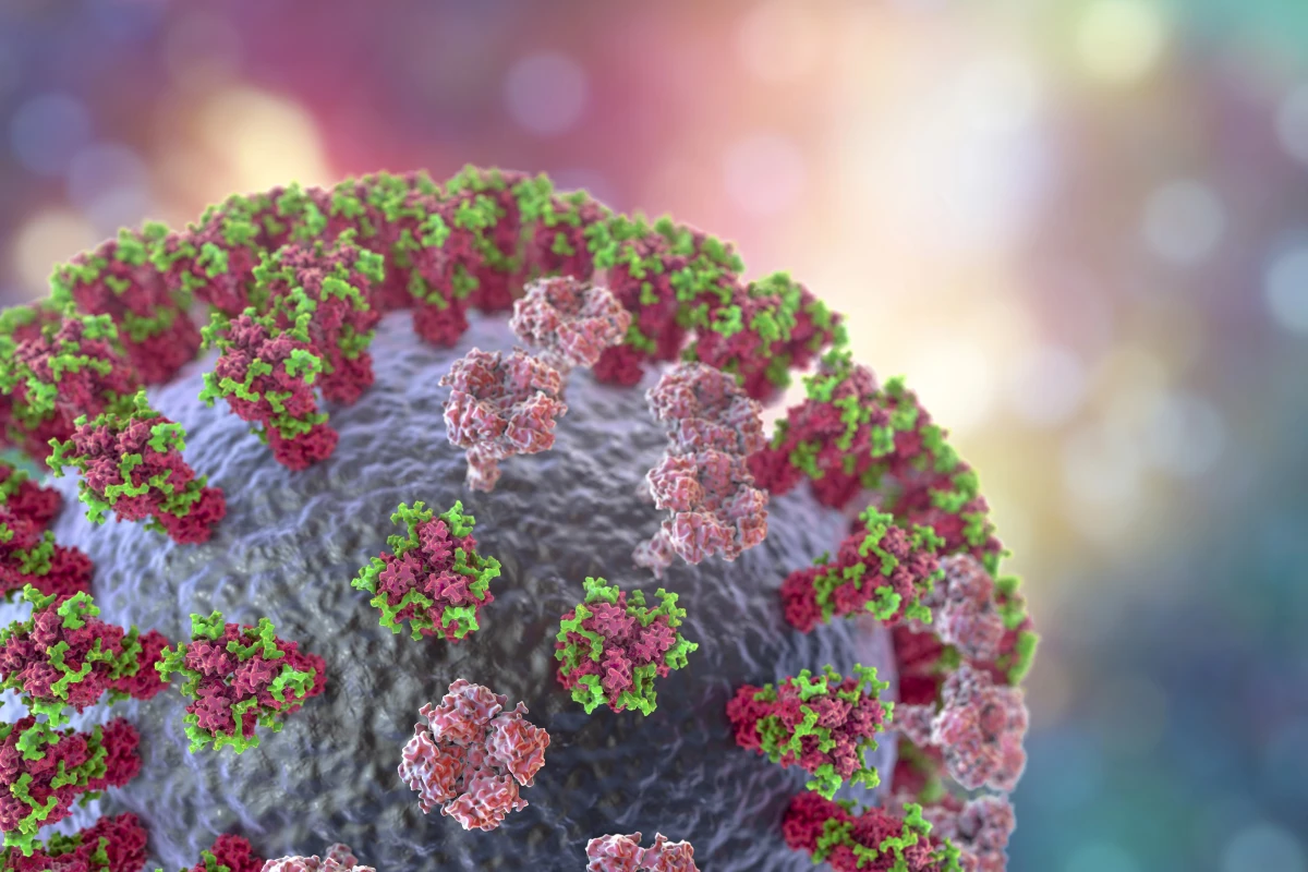 The H3N2 subclade K virus has genetically drifted from earlier J.2.4 influenza A strains, and is better at evading our immune system