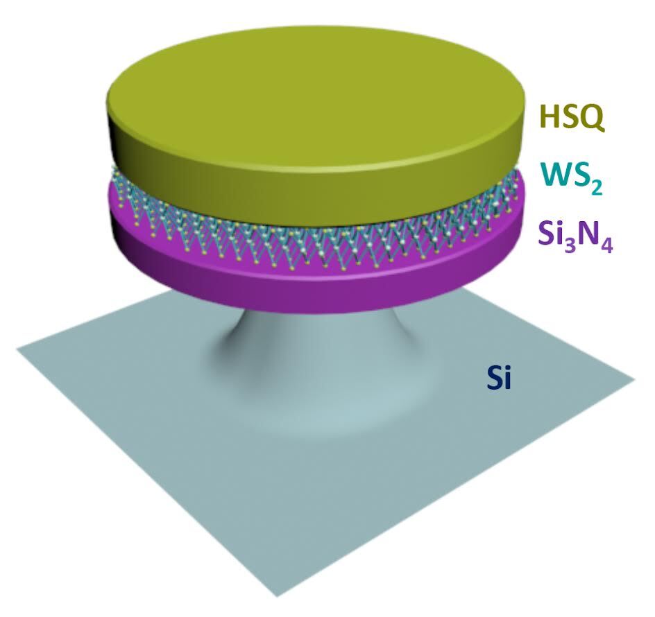 A monolayer of tungsten disulfide has been sandwiched between the two dielectric layers of a microdisk resonator in the Berkeley Lab 2D laser