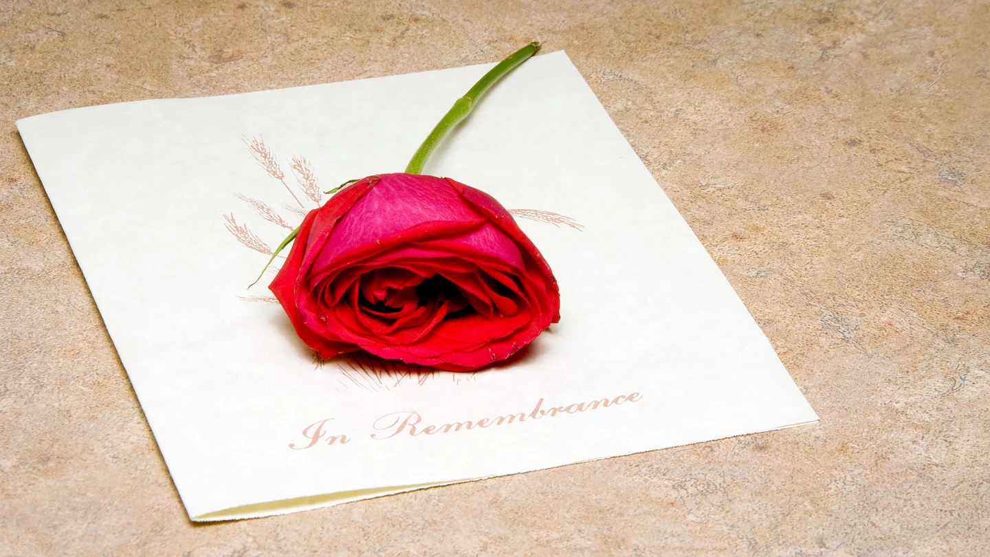 Water cremation offers a cheaper, more eco-friendly alternative to traditional cremation