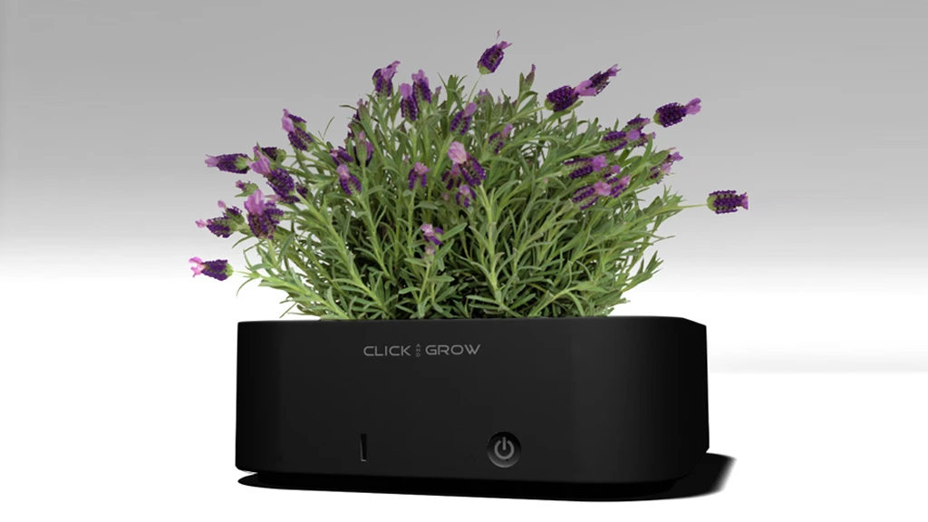 Click & Grow pots make growing houseplants a set & forget exercise