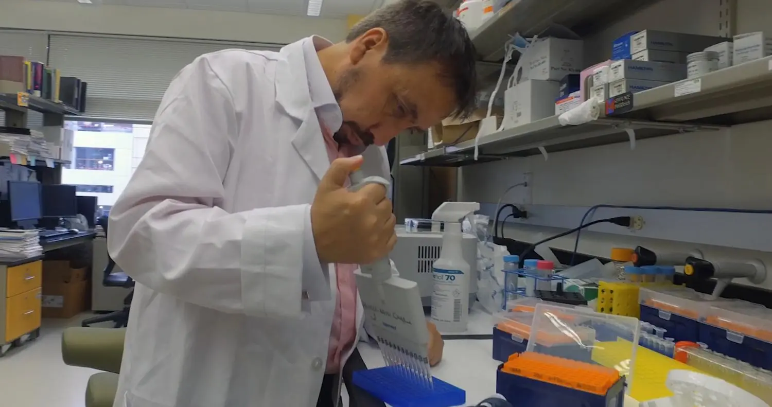 A University of Texas research team has discovered that type 2 diabetes can be induced by a misfolded protein meaning the condition could be similar to certain infectious diseases
