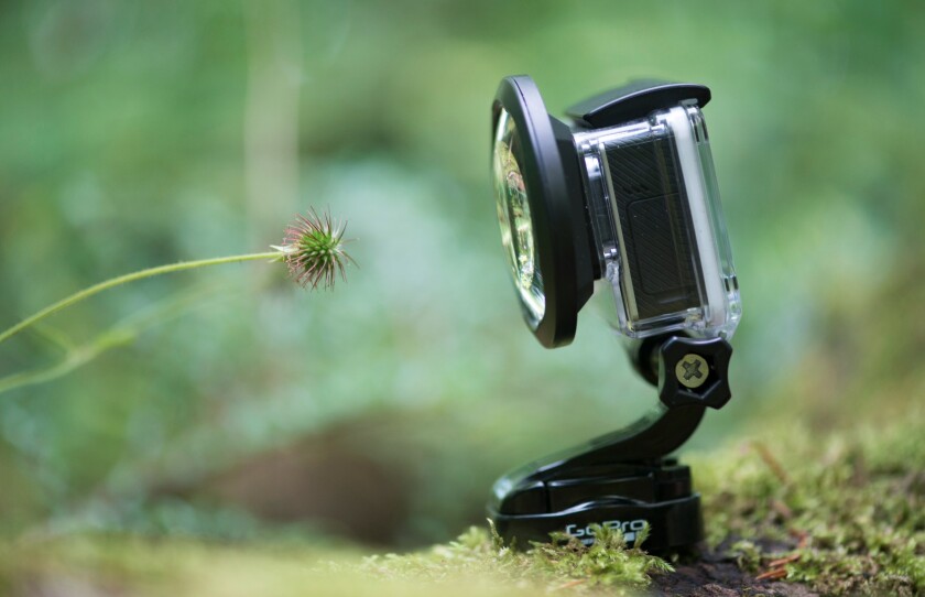 The PolarPro GoPro Macro Filter Lens gets you close to the macro action