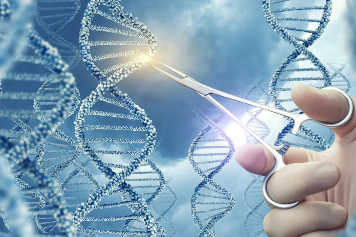 One of the first CRISPR human trials in the United States has been paused by the FDA before it had even begun