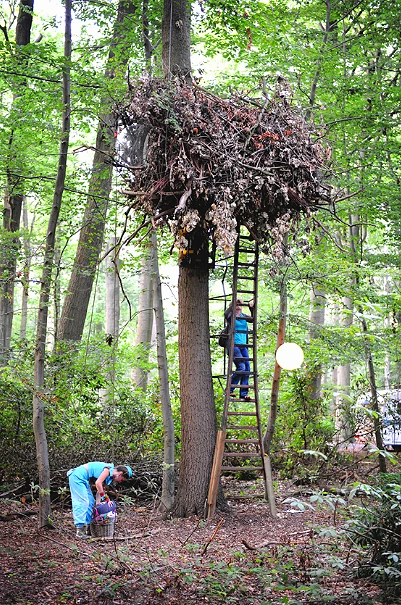 Access to the Love Nest is by vertical ladder