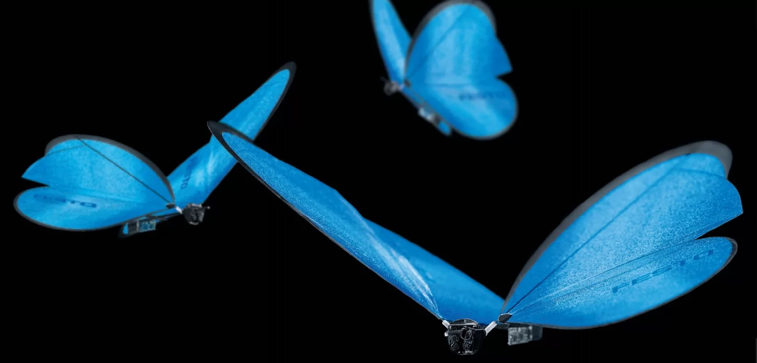 Festo's eMotionButterflies are reported capable of collective behavior and are able to autonomously avoid crashing into each other in real-time
