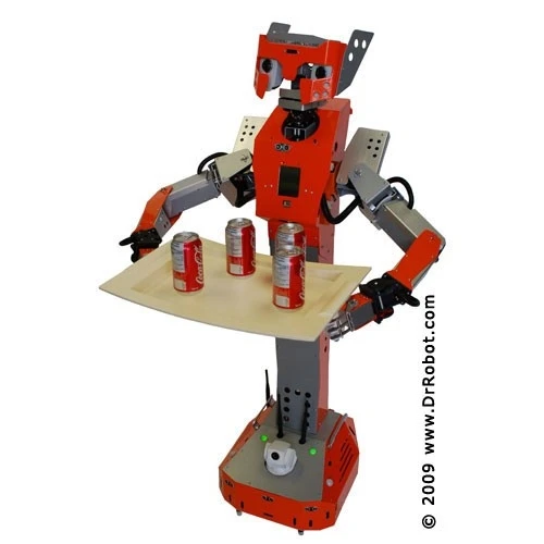It serves: Hawk is the work of small Canadian robotics company established in 2001 by a group of scientists and engineers who had previously worked for various space agencies