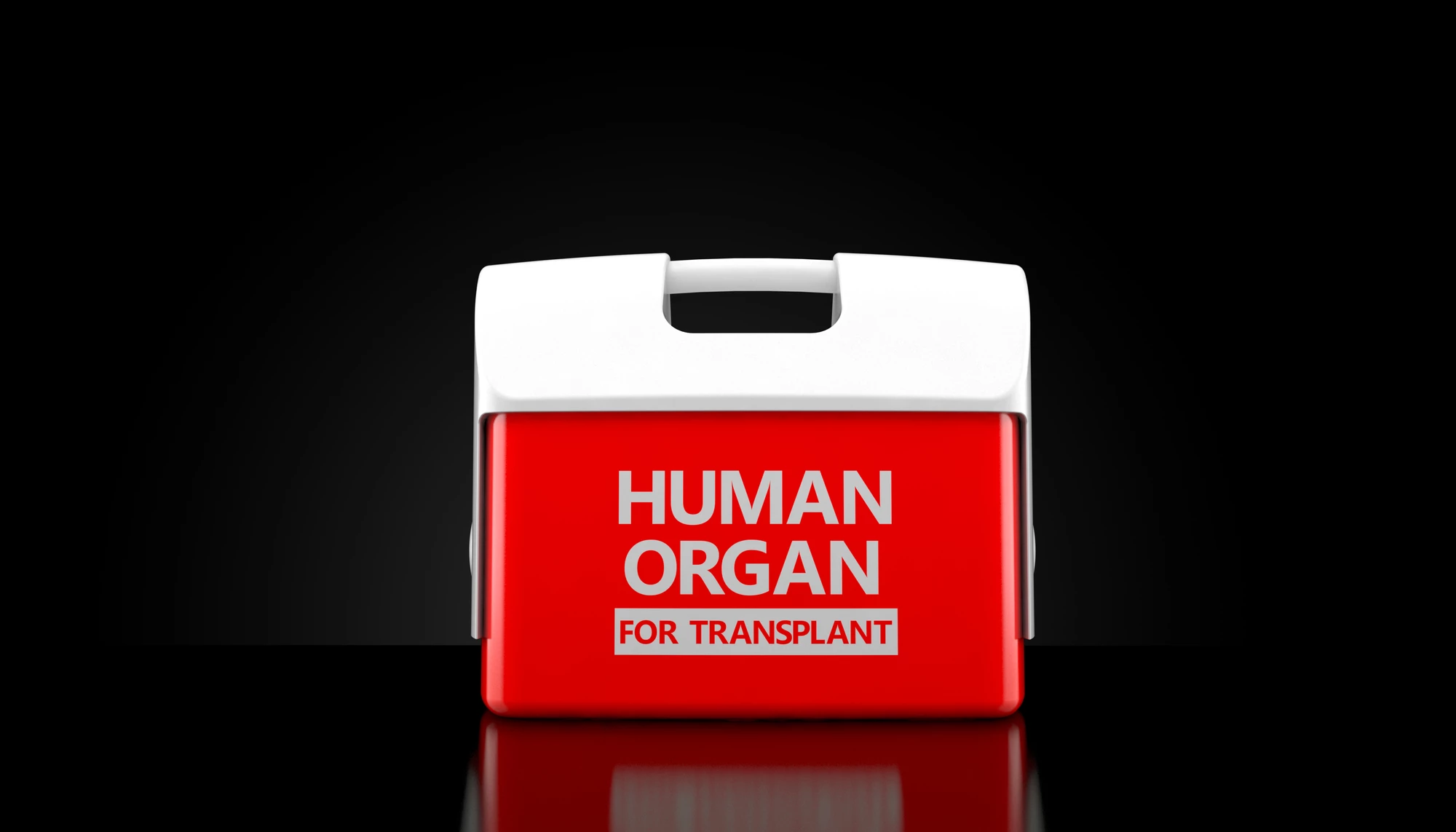 An experimental enzyme treatment has shown promise in converting donor organs to a universal blood type
