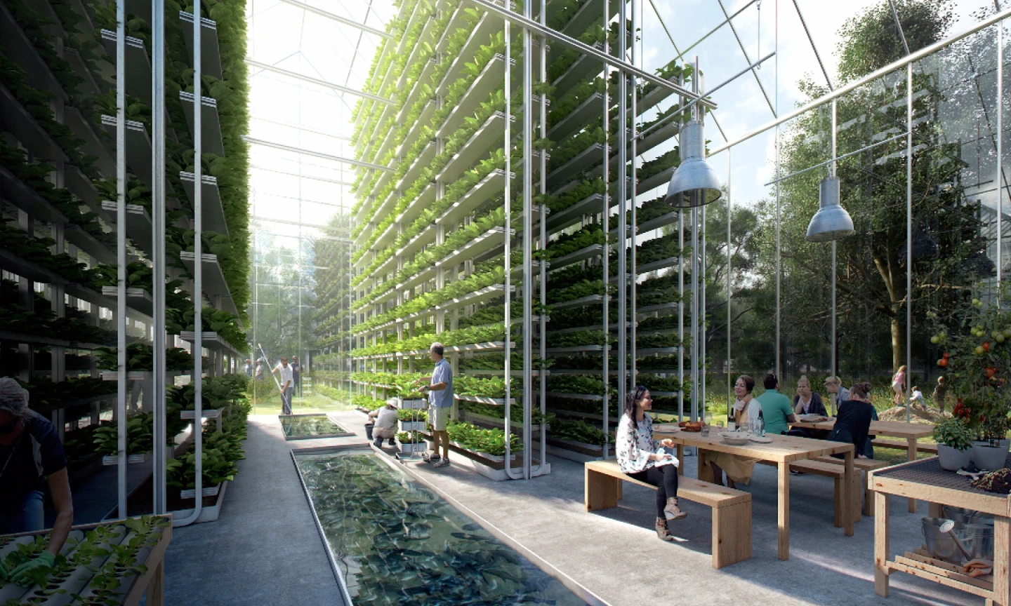 Among the technologies employed at the villages are renewable energy vertical farming aquaponics and aeroponics