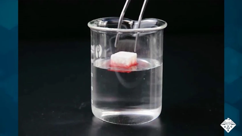 A sample of the sponge material draws red-dyed oil from a beaker of water