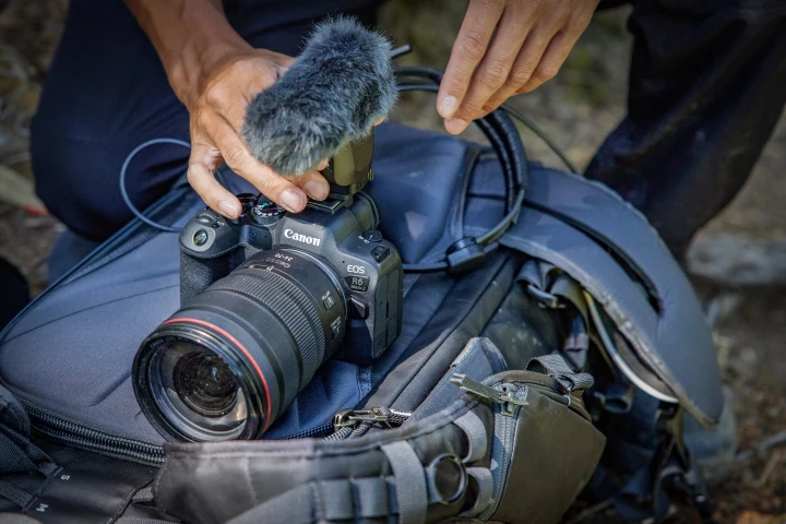 Canon is pitching the EOS R6 Mark II at advanced amateurs looking for high-reso