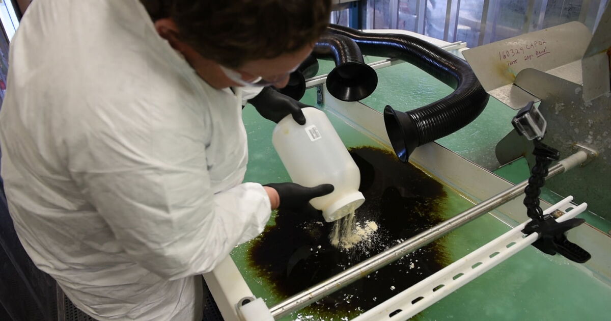 Sprinkling Of Sawdust Could Soak Up Arctic Oil Spills