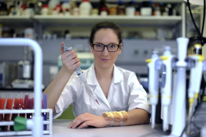 Research team member Dr. Katarzyna Wybranska, with a wound dressing treated with the gold nanocomposite (Photo: ICHF)