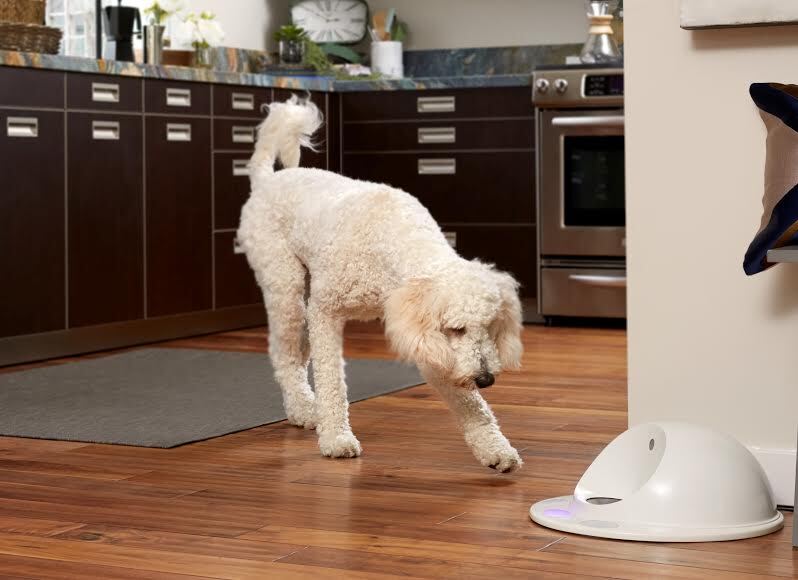 The CleverPet is a food bowl that plays mind games with your dog