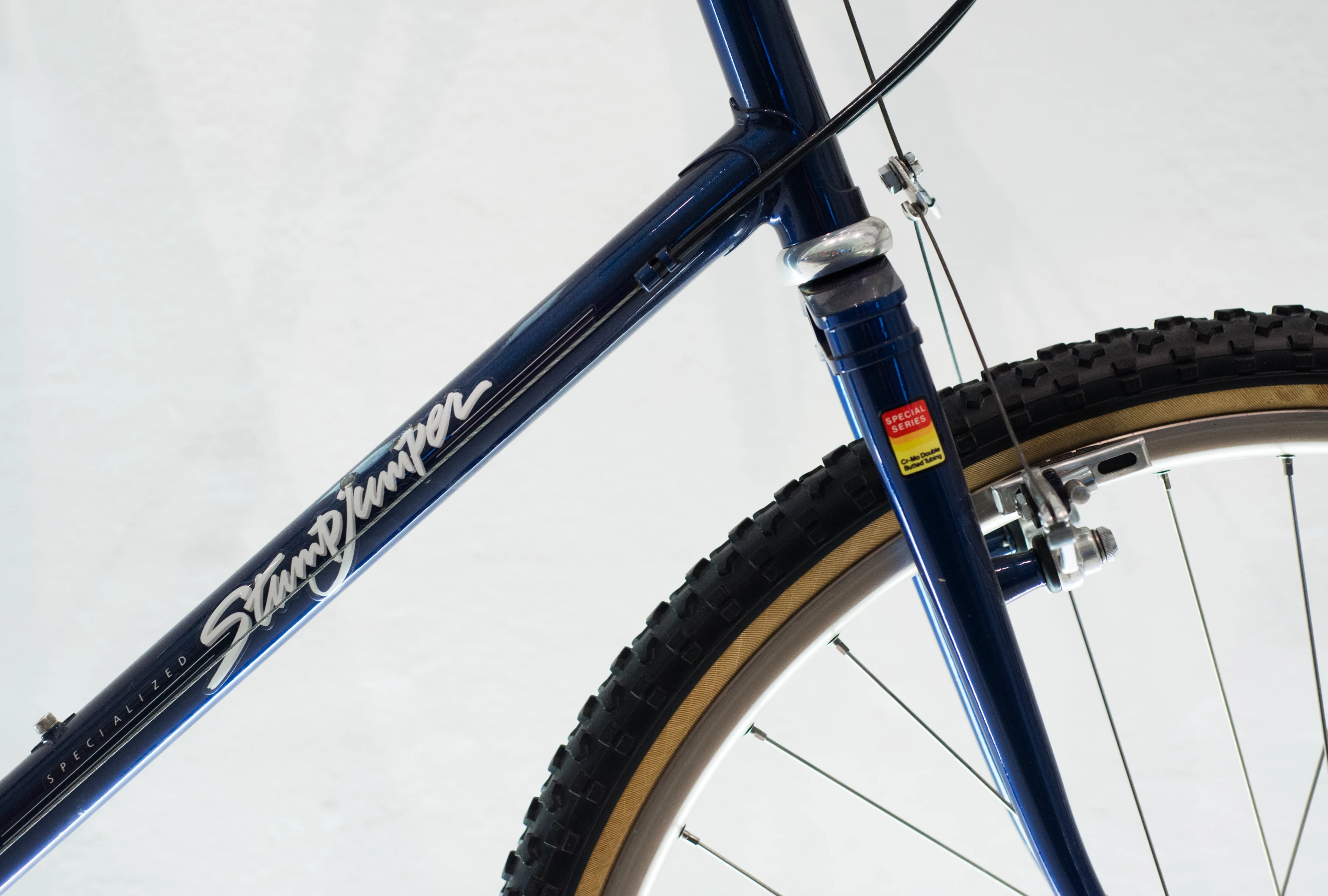 The Specialized Stumpjumper was designed to be fun to ride in the dirt, whether going up or downhill