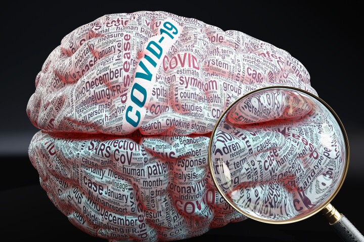 The study found severe COVID was linked with many of the same gene expression changes in brain tissue seen in old age