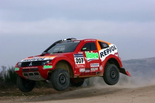 2008 Dakar canceled