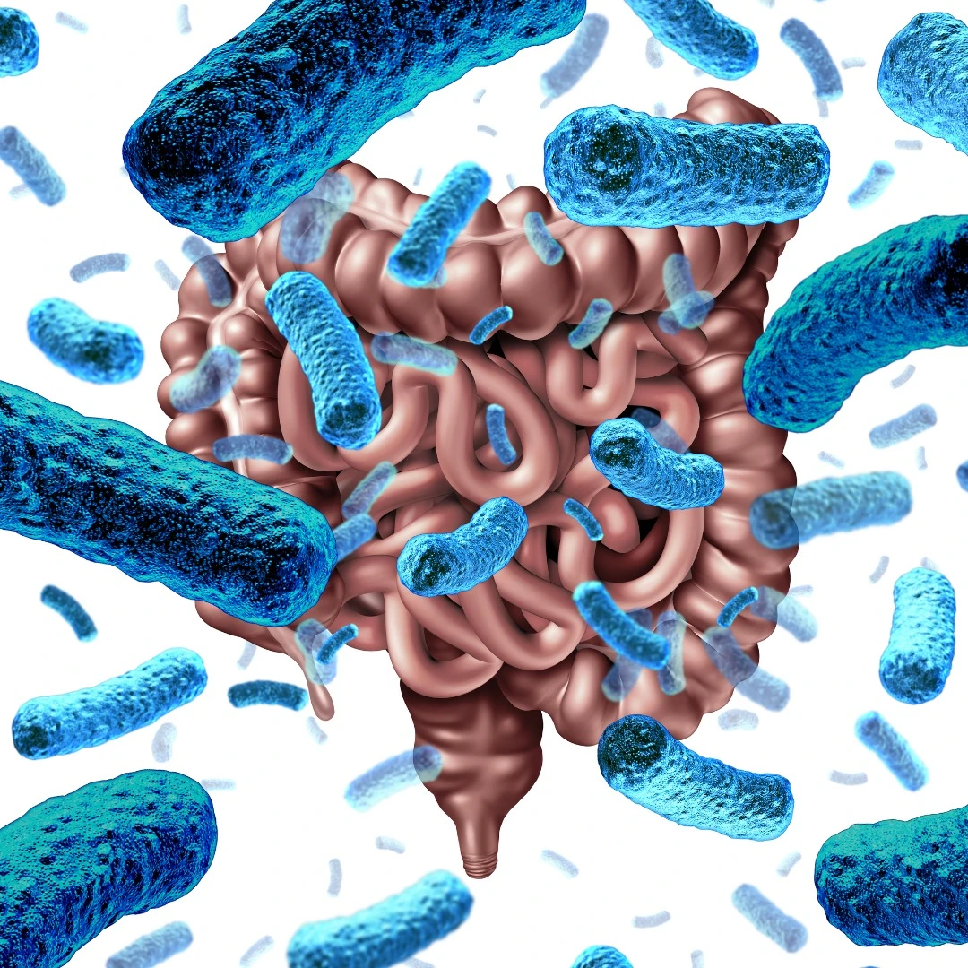 An examination of 21 different studies revealed non-probiotic dietary changes may be more effective than probiotics in altering a person's gut microbiome, leading to mental health improvements