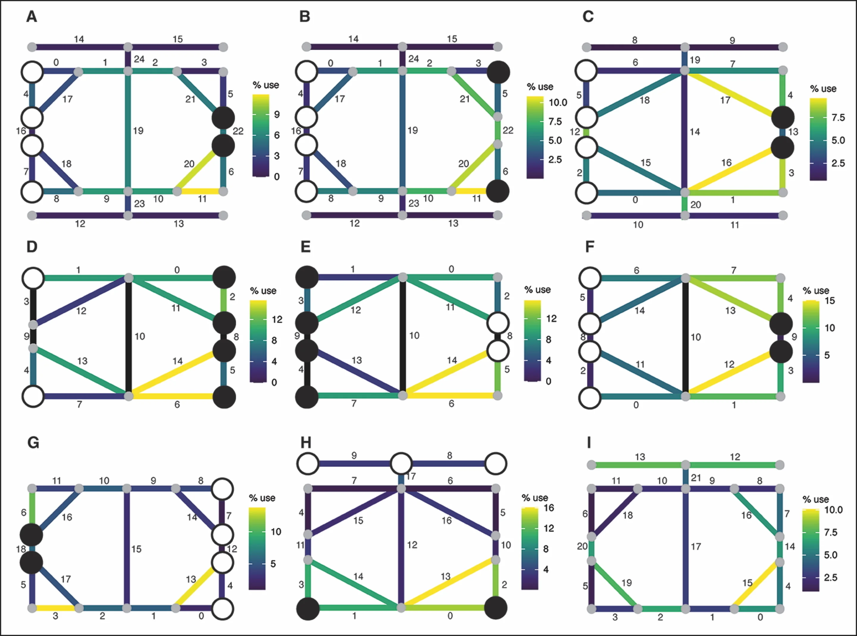AI Uncovers Ancient Roman Game Rules from Limestone Slab
