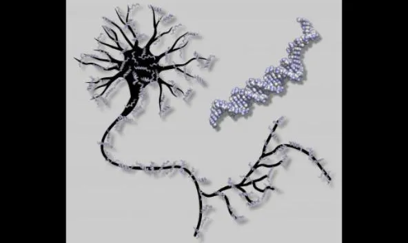 Scientists at Caltech have created the world's first DNA-based artificial neural network