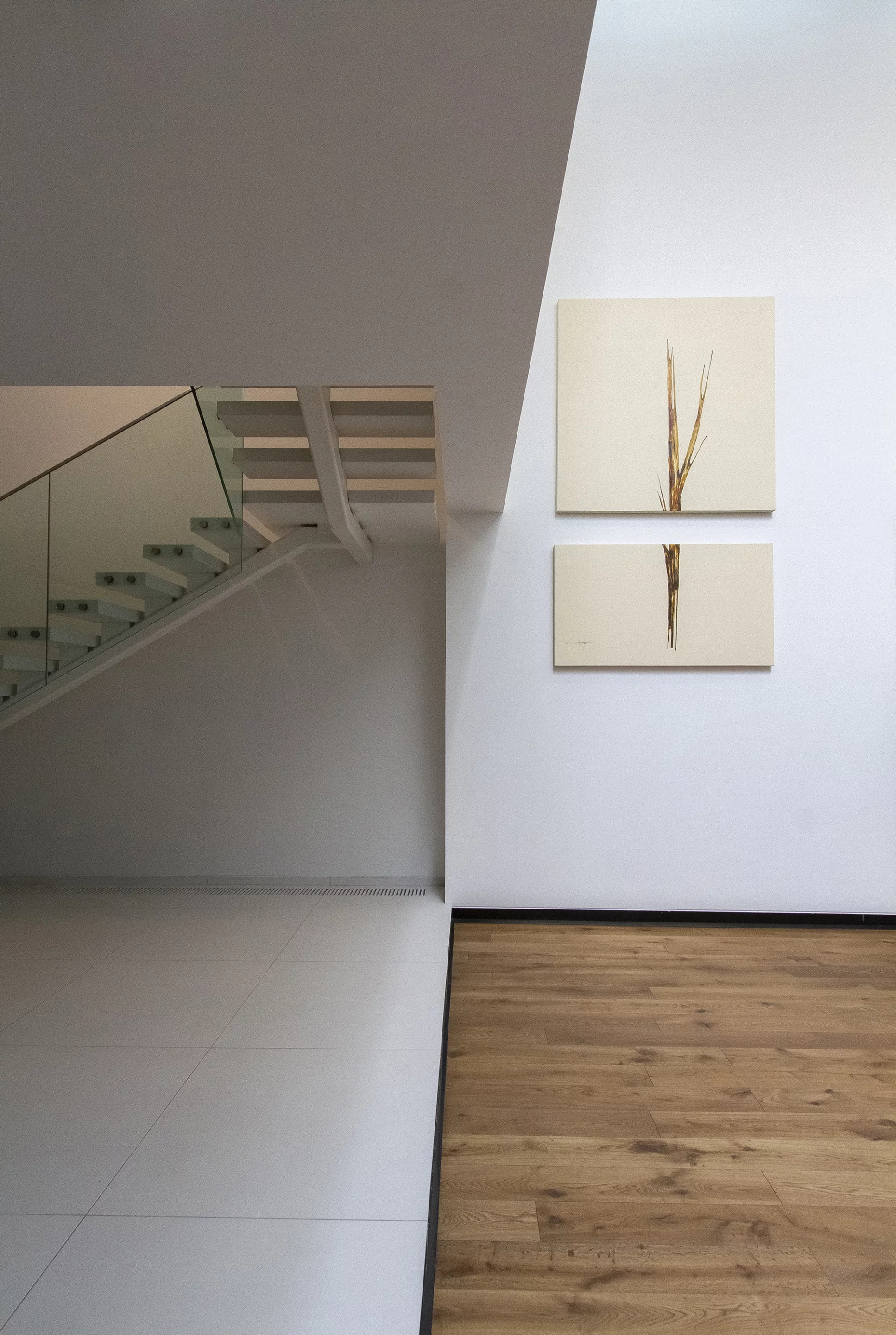 The Sharifi-ha House is, by any reasonable person's standard, a very luxurious home (Photo: Nextoffice)