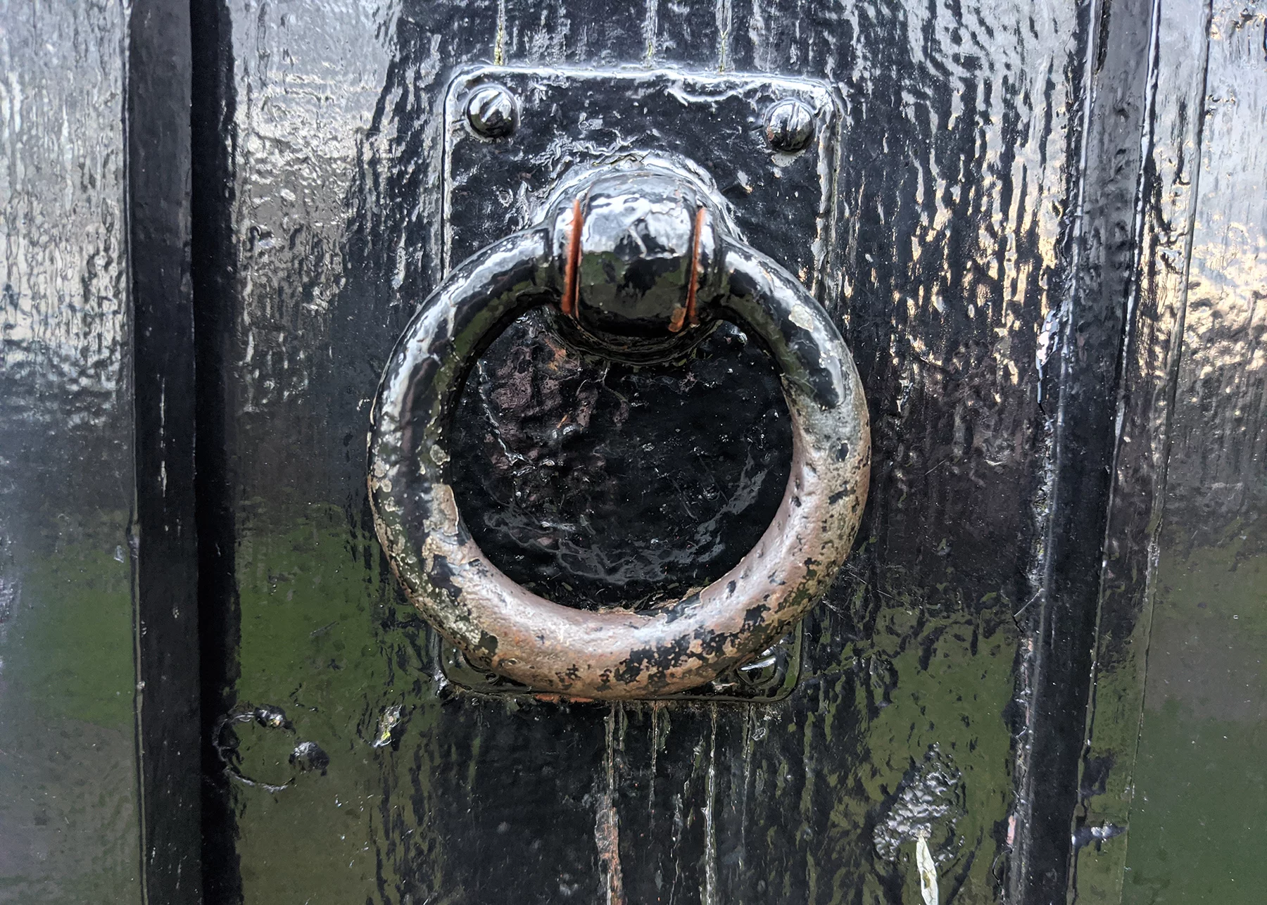 Capturing detail and color on close-ups is no problem for the Pixel 4 XL