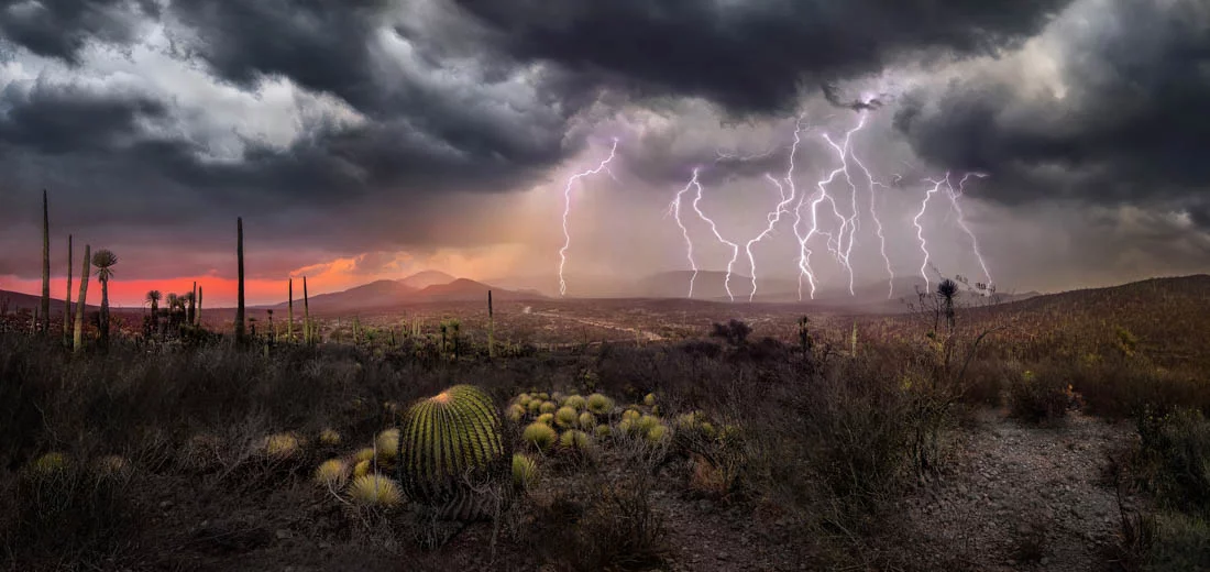 A highlight from the top 50 images in the Amateur, Nature category
