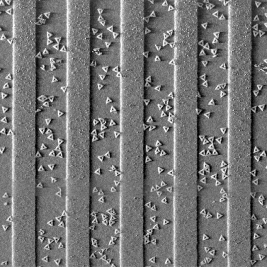 Low concentrations of triangular DNA origami binding to wide lines on a lithographically patterned surface