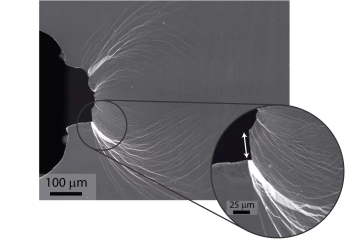 Main image shows extensive plastic shielding of an initially sharp crack. Inset is a magnified view of a shear offset (arrow) developed during plastic sliding before the crack opened. Image: Robert Ritchie and Marios Demetriou