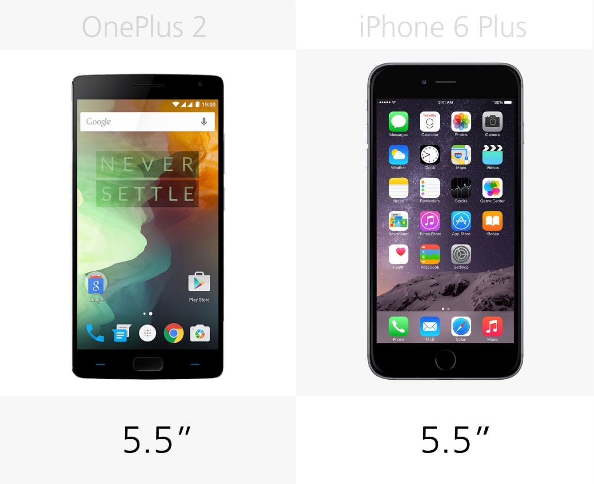 Display size