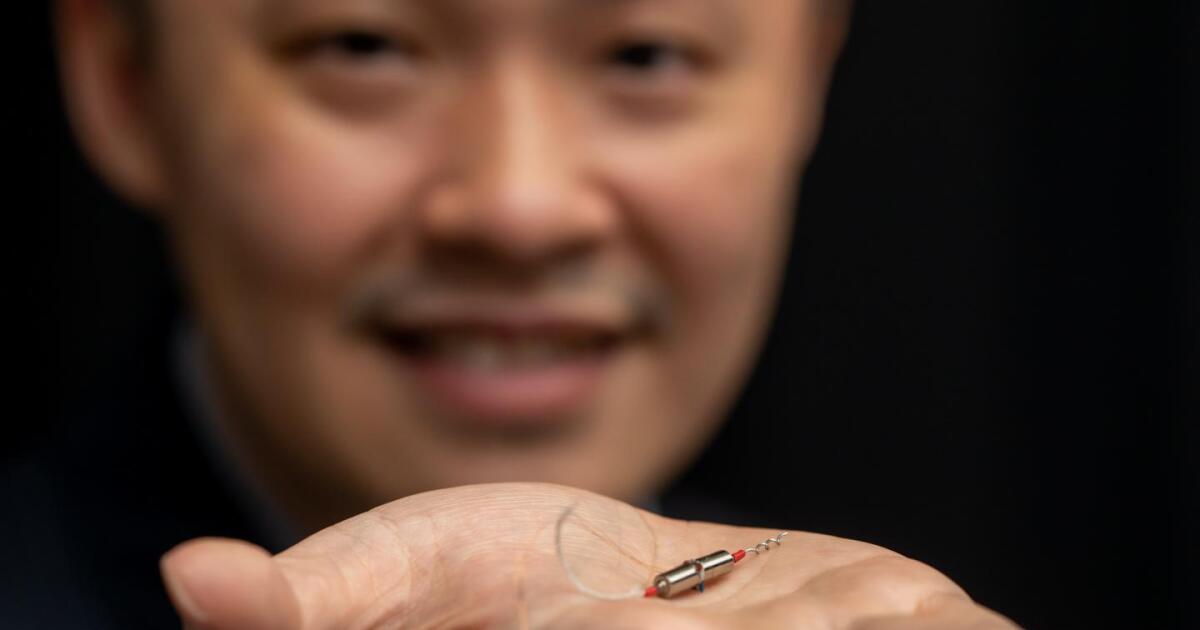 “All-wheel-drive” ray sperm encourage a greater swimming robotic